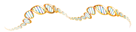 Genes at work double Helix