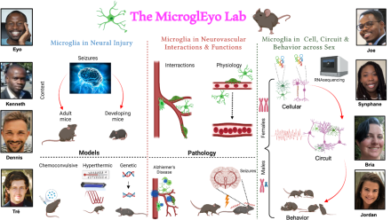 diagram of the MicroGLeyo Lab