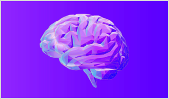 human brain
