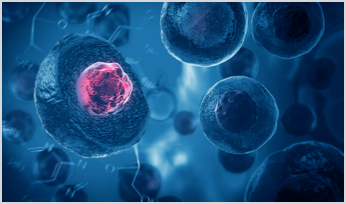 stem cells