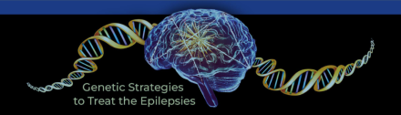 Genetic Strategies to Treat the Epilepsies banner displaying a brain and genes.