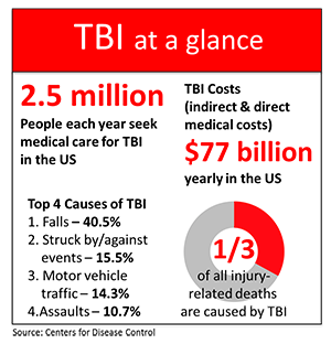 TBI at a Glance
