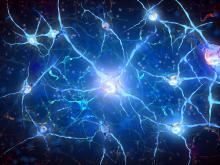 Nerve cell illustration. Courtesy Shutterstock